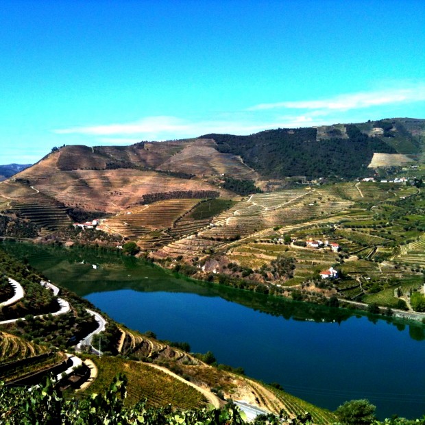Porto's stunning Douro valley. What a view! Porto's stunning Douro valley. What a view!