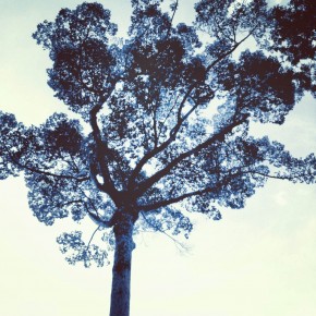 photo (22)