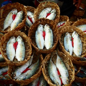 fish market vietnam