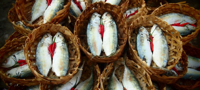 fish market vietnam